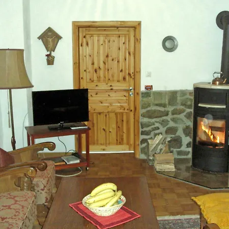 Holiday Waldkauz